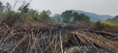 Incendio a collina Citola, intervento della Protezione Civile cavese.