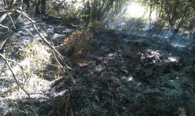 Incendio «doloso» nel Parco Diecimare, tempestivo l'intervento della Protezione Civile cavese