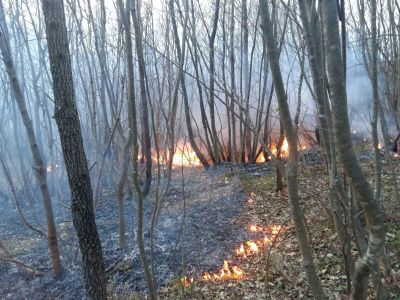 Primo incendio boschivo del 2016 in località San Giuseppe al Pennino.