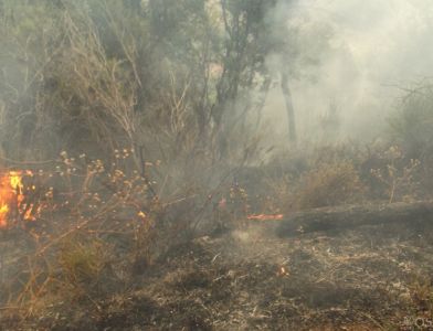 Settimana di fuoco per la Protezione Civile cavese - Diversi gli incendi in citt&agrave;.