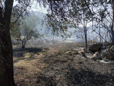INCENDIO SU MONTE CARUSO