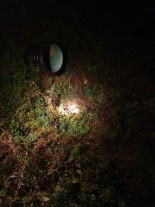 Allerta meteo - avviati sopralluoghi dei punti critici.