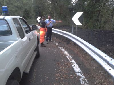 Protezione Civile a lavoro, oltre gli incendi, salvata una cucciolata di cagnolini.