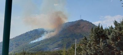 PIROMANI IN AZIONE A COLLINA CITOLA.