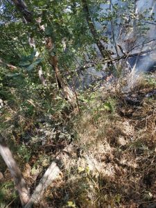 Tentativo di incendio a Monte Caruso.