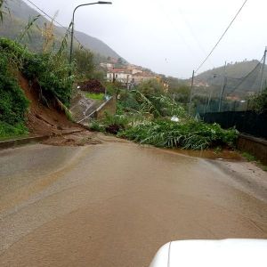 Mal tempo, interventi della Protezione Civile comunale.