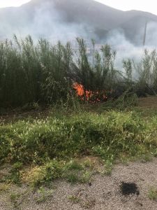 Incendio lungo la linea ferroviaria nei pressi del passaggio a livello.