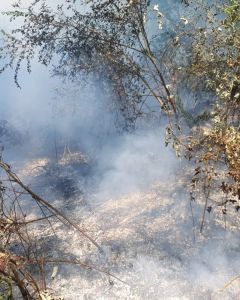 Iincendio in pieno Parco Diecimare ed alla localit&agrave; Li Curti..