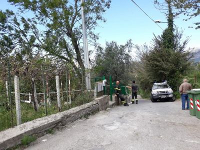Forte vento *Interventi della Protezione civile.