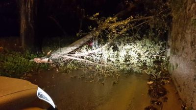 Interventi per allerta meteo sul territorio comunale.