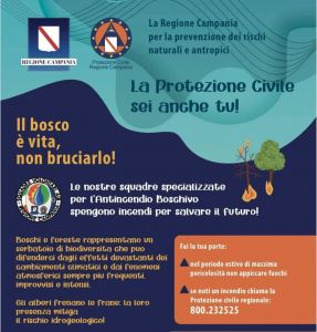 INCENDI BOSCHIVI, DAL 15 GIUGNO PERIODO GRAVE PERICOLOSITA'.