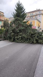 Allerta meteo � Interventi sul territorio comunale