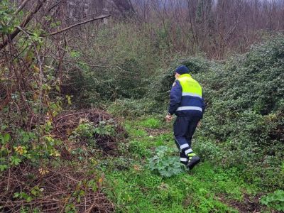 PERSONA SCOMPARSA - AGGIORNAMENTO RICERCHE