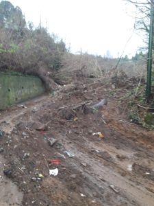 Frane e smottamenti in citt&agrave;, molteplici interventi di messa in sicurezza.