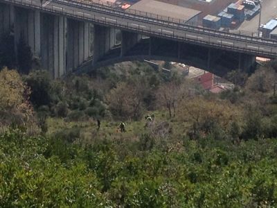 Operazioni di soccorso in montagna da parte della Protezione Civile metelliana.