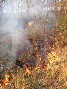 DOMATO INCENDIO A DIECIMARE