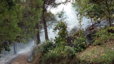 Due incendi in citt&agrave; - Intervento congiunto Protezione Civile e VVF.