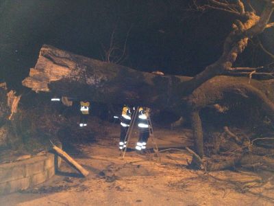 Caduta albero - intervento della Protezione Civile cavese.