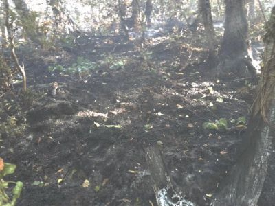 Continuano gli incendi sul territorio di Cava de'Tirreni, La Protezione Civile lavora senza sosta per fronteggiarli.