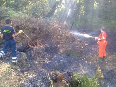Incendio sterpaglie - Multato proprietario terreno.